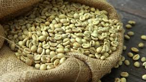 GREEN COFFEE